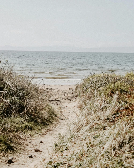 a path leading to a beach next to a body of water, unsplash, land art, lgbtq, vintage photo, multiple stories, background image