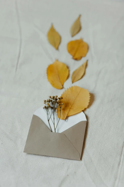 a piece of paper with leaves sticking out of it, by Jesper Knudsen, unsplash contest winner, gold flowers, delivering mail, linen, ocher