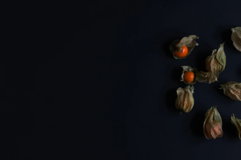 a bunch of fruit sitting on top of a table, unsplash, hyperrealism, black pearls, background image, dried flower, black and orange