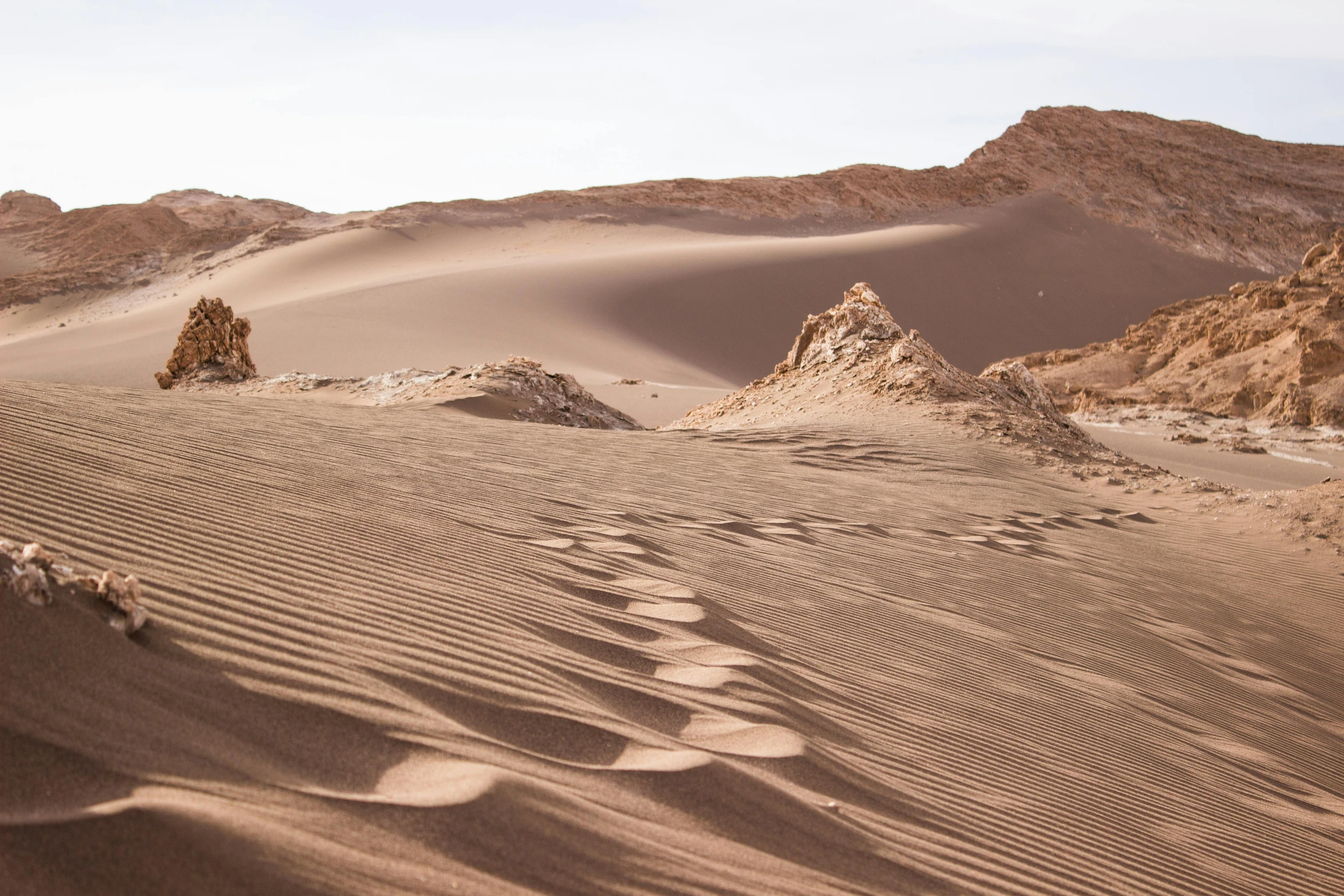 a group of footprints that are in the sand, by Daniel Seghers, pexels contest winner, land art, andes, background image