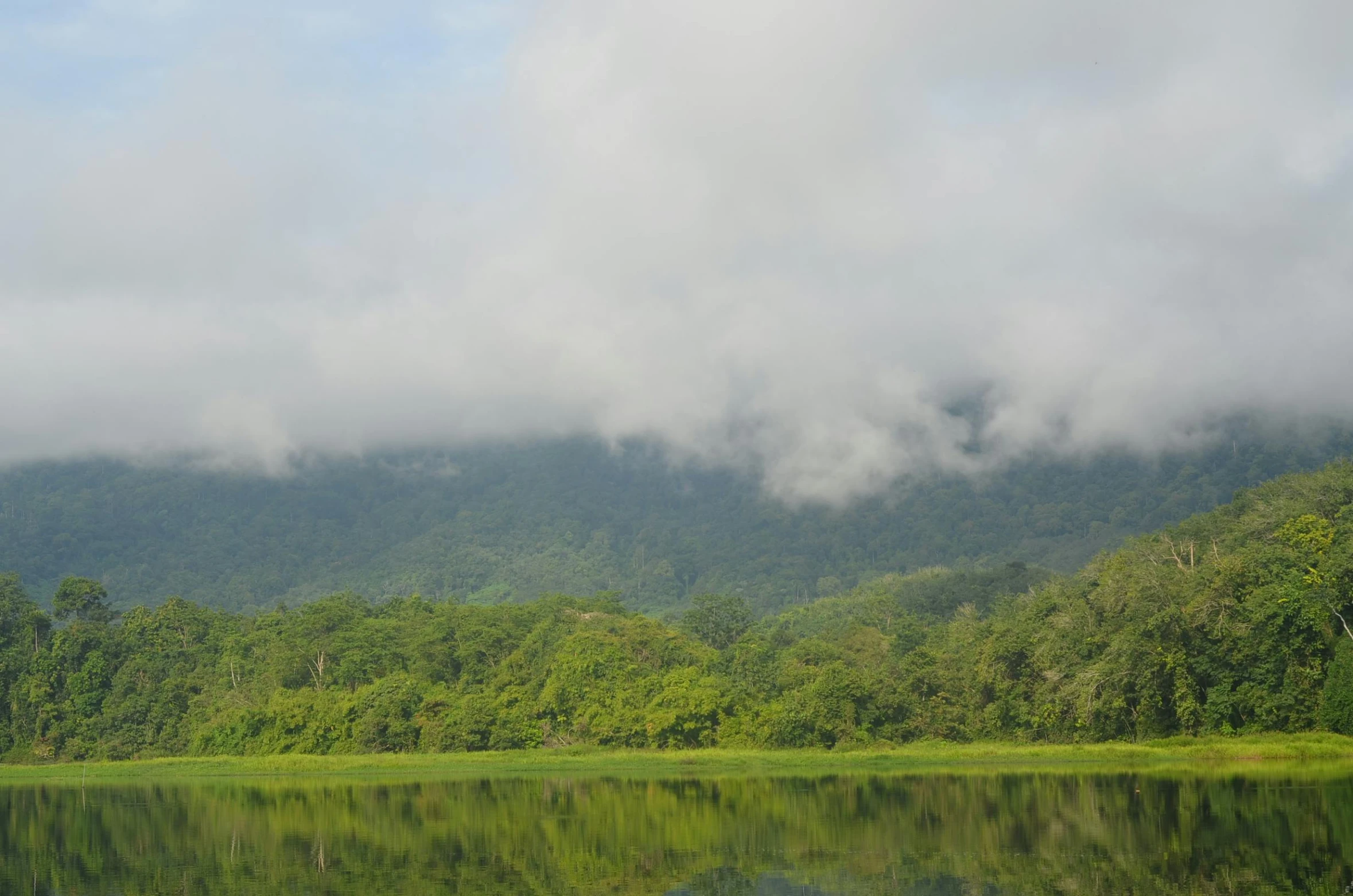 a large body of water surrounded by trees, sumatraism, avatar image