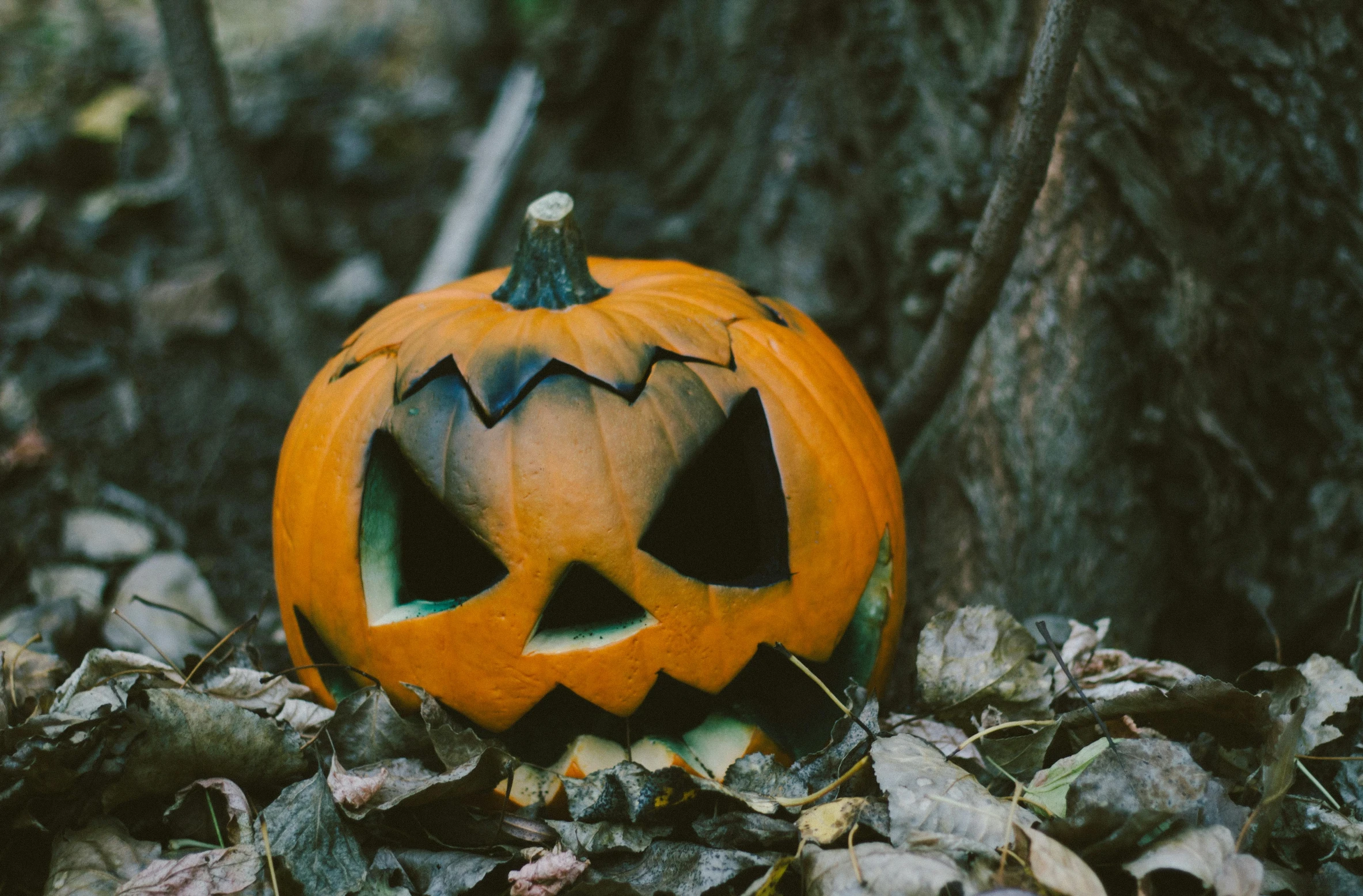 a halloween pumpkin sitting on top of a pile of leaves, pexels contest winner, vhs, 2 5 6 x 2 5 6 pixels, [ cinematic, face shot