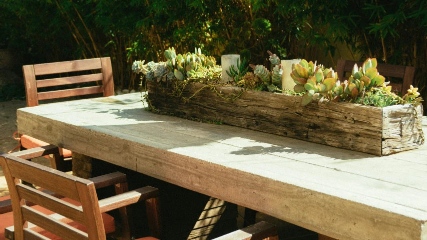 a wooden table topped with a planter filled with succulents, unsplash, al fresco, dining table, sukkot, postprocessed