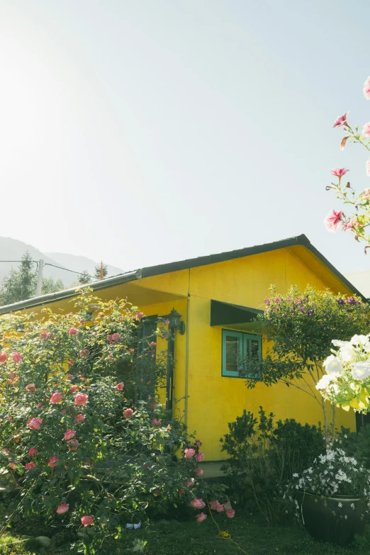 a yellow house sitting on top of a lush green field, inspired by Wes Anderson, unsplash, color field, bougainvillea, chile, exterior view, chalet