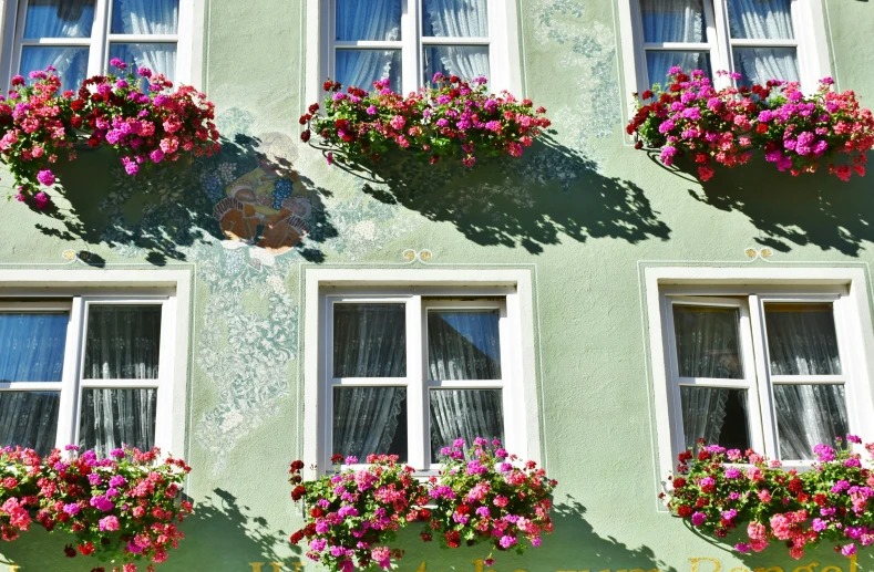 a building with a bunch of flowers on the windows, inspired by Matthias Jung, pexels contest winner, pastel green, planters, austrian architecture, awnings