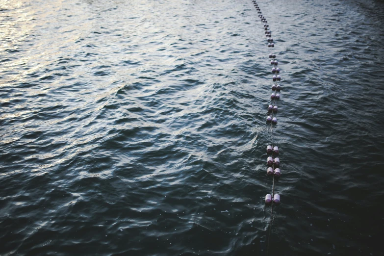 a row of buoys sitting on top of a body of water, an album cover, unsplash, ignant, large chain, long distance photo, swimming