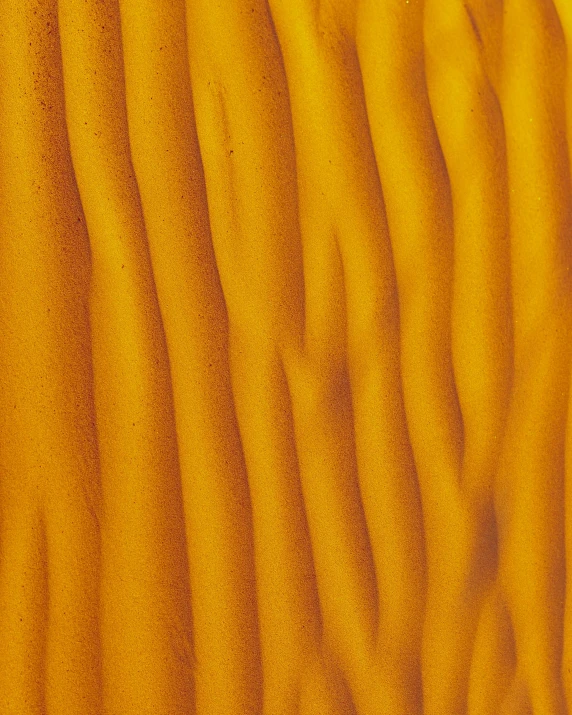 a close up of a sand dune in the desert, a microscopic photo, inspired by Christo, yellow-orange, a pair of ribbed, detailed product image, oily high relief