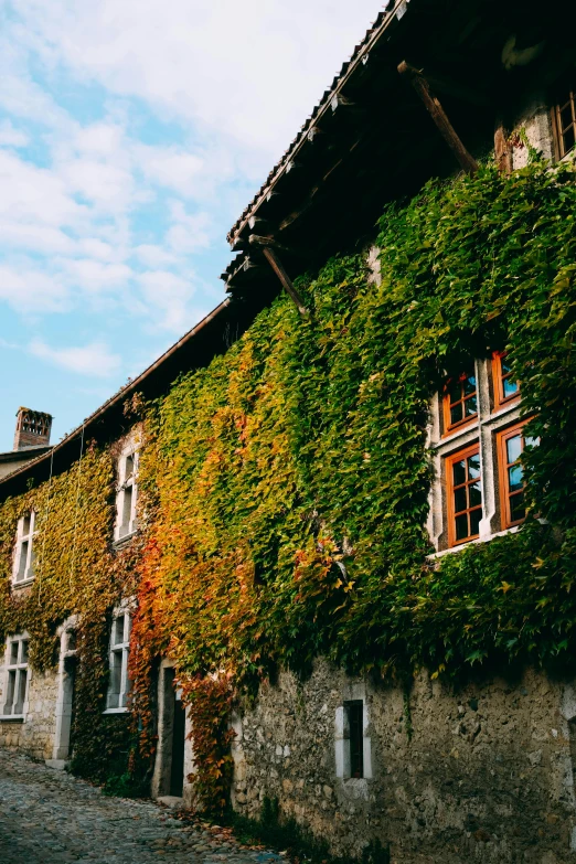 a building with ivy growing on the side of it, inspired by Pierre Toutain-Dorbec, pexels contest winner, romanesque, autum, french village exterior, farmhouse, many large windows