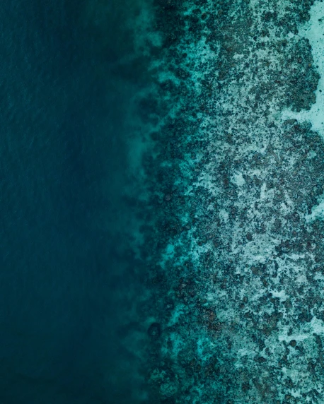 an aerial view of a large body of water, pexels contest winner, coral sea bottom, looking off to the side, thumbnail, rough textures