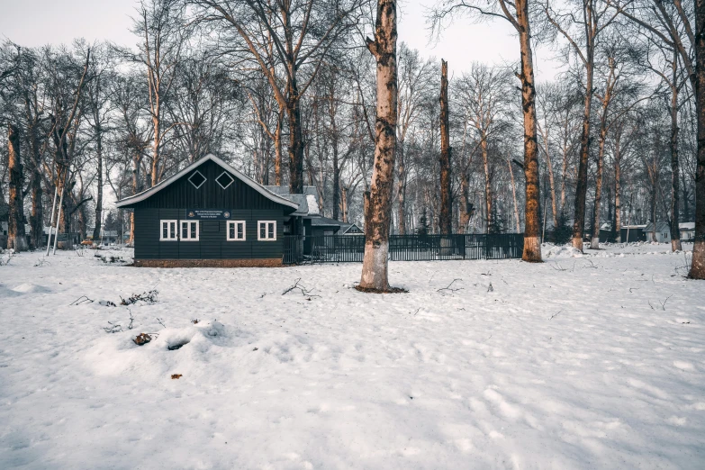 a small cabin in the middle of a snowy forest, pexels contest winner, assam tea garden background, assamese aesthetic, buildings covered in black tar, 90's photo