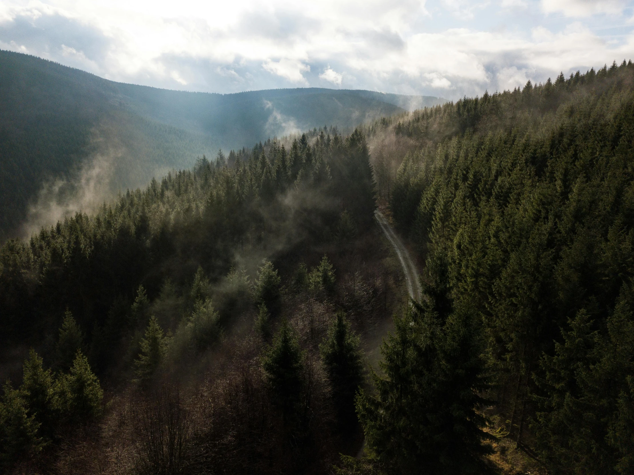 a forest filled with lots of trees next to a mountain, by Sebastian Spreng, pexels contest winner, black forest, wide high angle view, cinematic morning light, forest trail