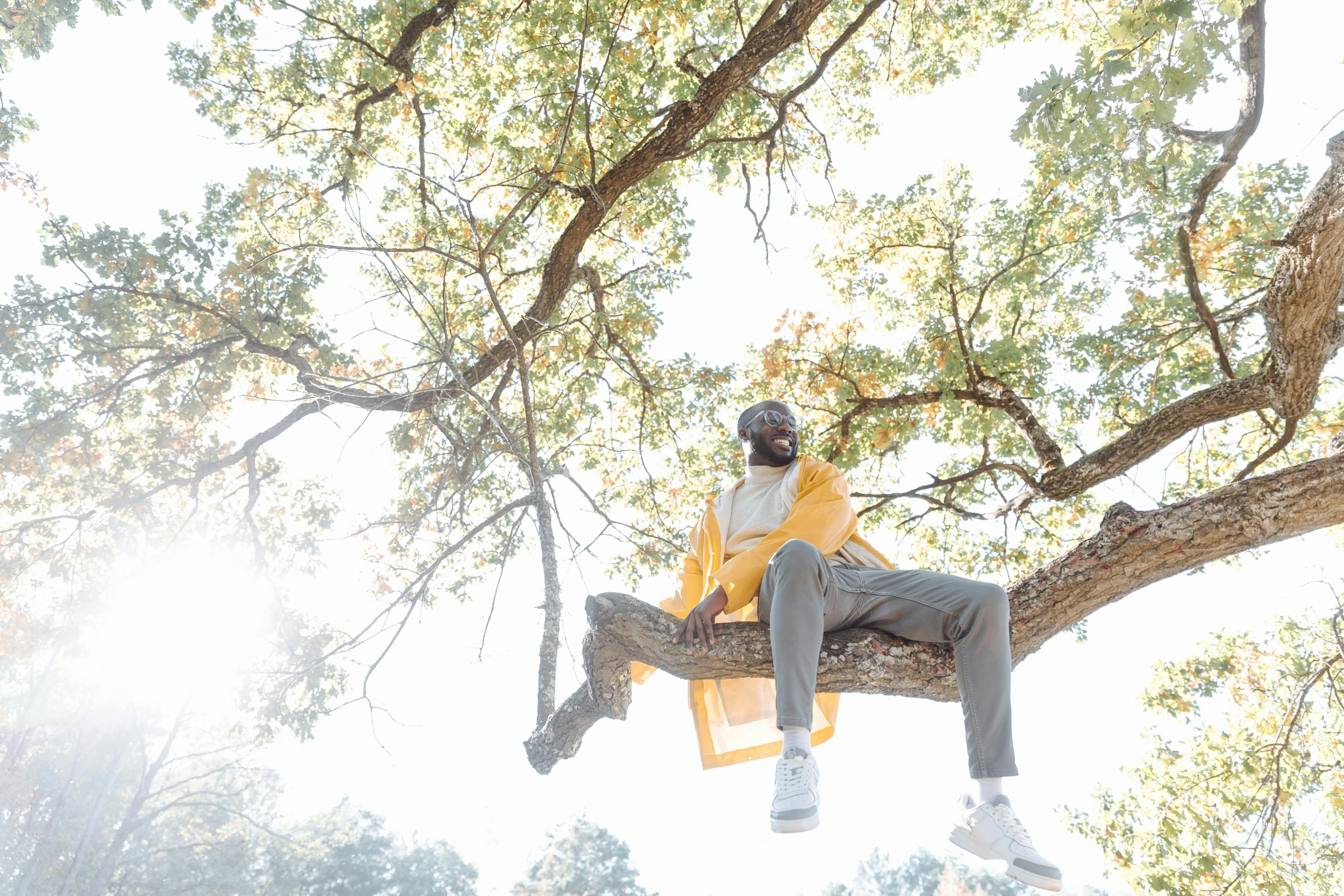 a man sitting on top of a tree branch, yellow clothes, mc ride, shot with sony alpha, sneaker photo