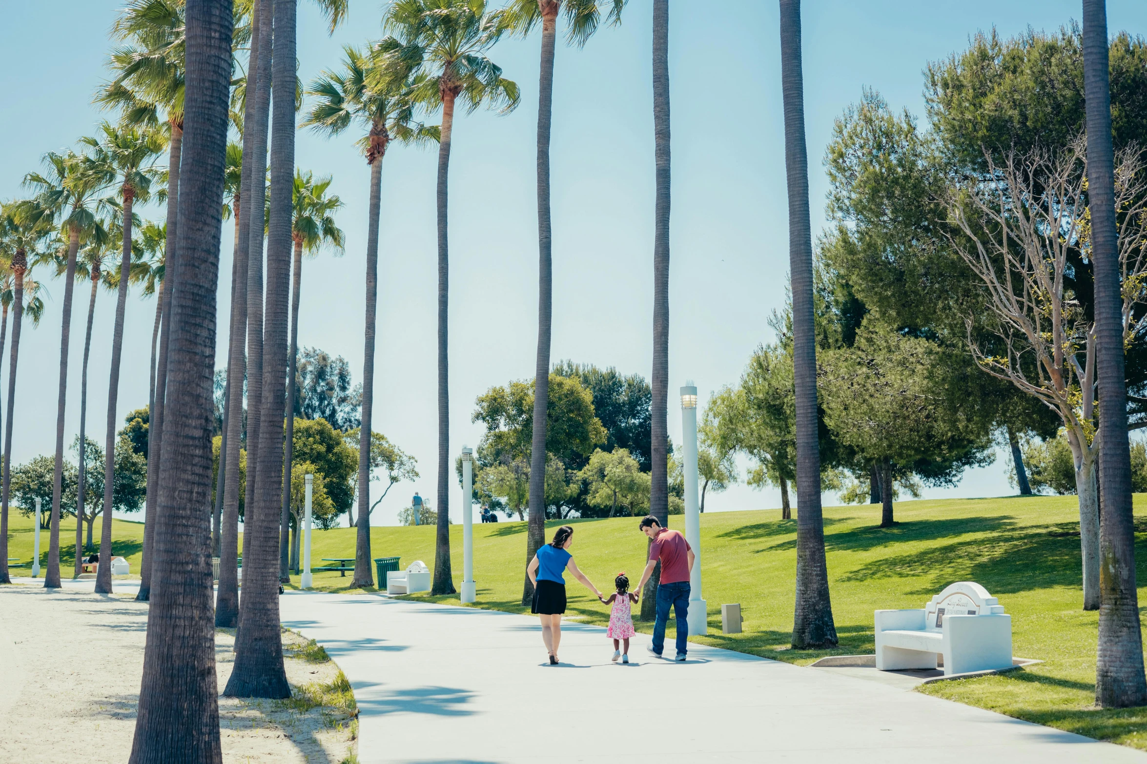 a group of people walking down a sidewalk next to palm trees, a park, oceanside, profile image, parks and monuments