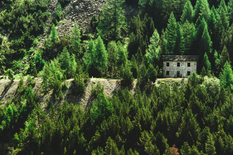 a house sitting on top of a lush green hillside, inspired by Peter Zumthor, pexels contest winner, renaissance, dark pine trees, vintage color photo, trekking in a forest, 1940s photo