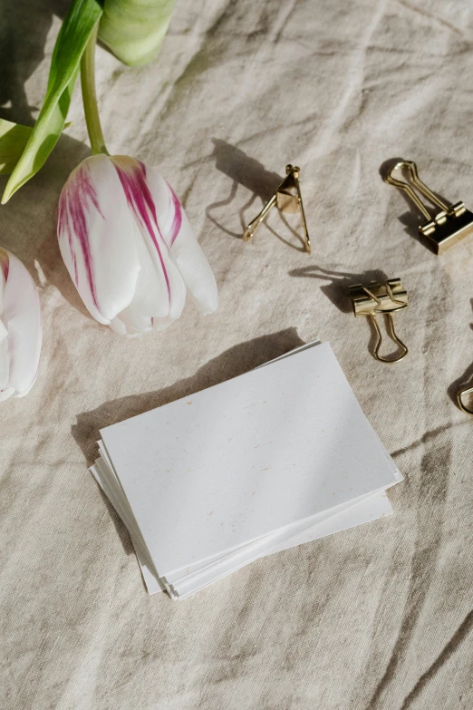 a bunch of flowers sitting on top of a table, a still life, trending on pexels, private press, blank paper, metallic brass accessories, tulip, set pieces