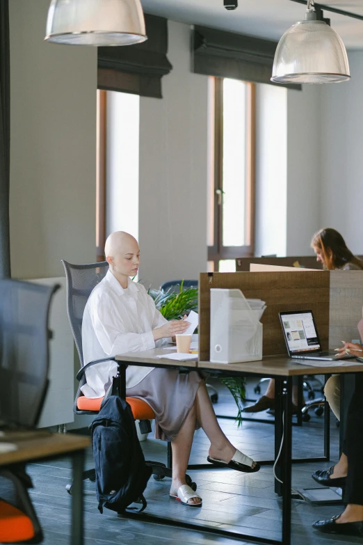 a group of people sitting at desks working on laptops, trending on unsplash, renaissance, tech robes, 2 people, ignant, full sun