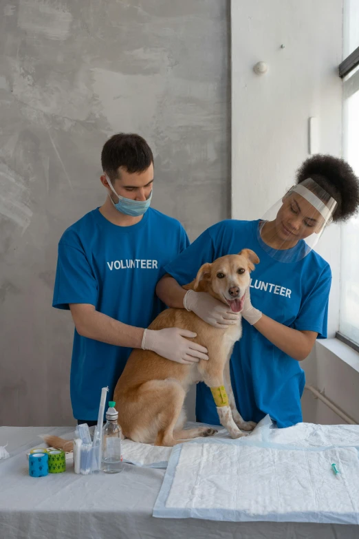 a couple of men standing next to a dog, healthcare worker, creating a soft, on a gray background, wearing a blue hoodie