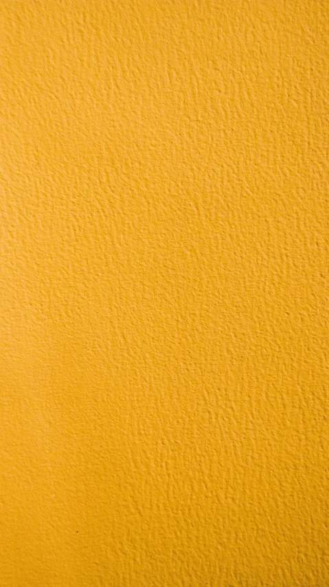 a fire hydrant in front of a yellow wall, an album cover, by Derek Jarman, minimalism, skin grain detail, yellow-orange, seamless micro detail, detailed product image