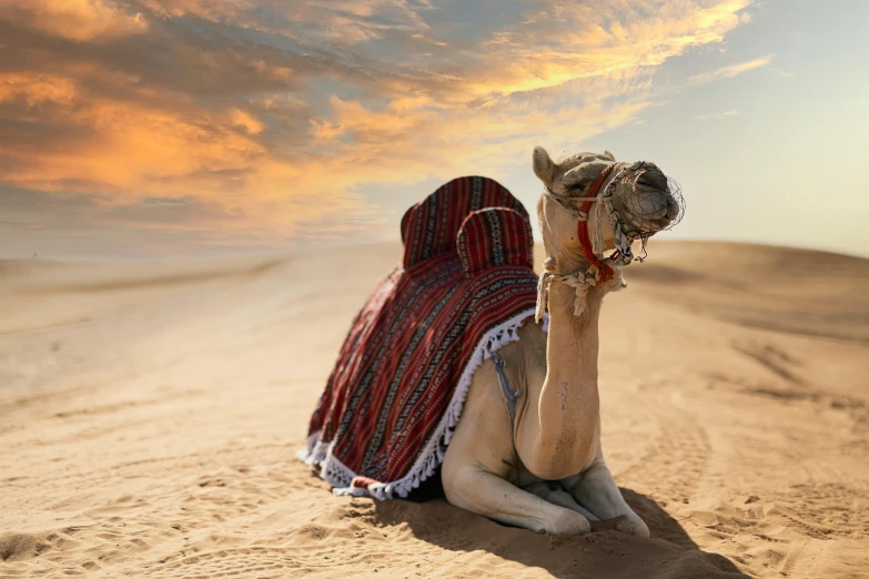 a camel that is sitting in the sand, an album cover, inspired by Frederick Goodall, pexels contest winner, renaissance, city in desert, desert robe, australian desert, 8 k hi - res