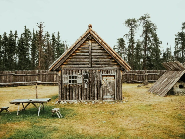 a wooden cabin sitting on top of a grass covered field, by Emma Andijewska, pexels contest winner, ancient russian architecture, viking style, various posed, camp