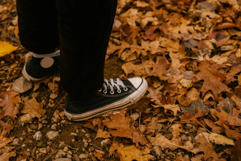 a person standing on top of a pile of leaves, sneaker photo, trending photo, thumbnail, black
