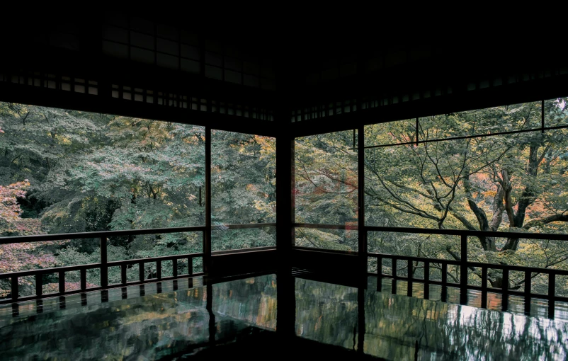 a room filled with lots of windows and lots of trees, inspired by Itō Jakuchū, unsplash contest winner, sōsaku hanga, reflections on the water, fujicolor photo, medium format. soft light, ancient japan