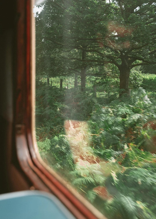 a view of a forest through a train window, kodak portra, beautiful english countryside, instagram post, lush foliage