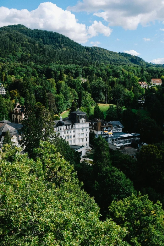 a castle sitting on top of a lush green hillside, heidelberg school, lush forest in valley below, luxurious onsens, black, overview