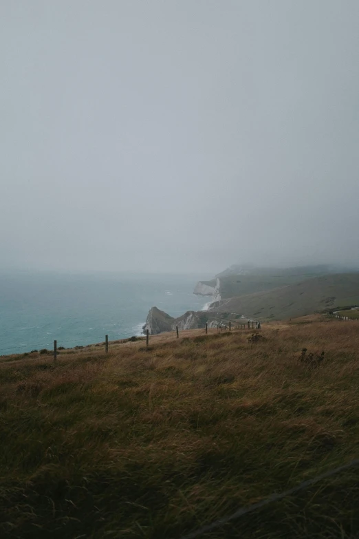 a view of the ocean on a foggy day, chalk cliffs above, countryside, not blurry, vibrant but dreary