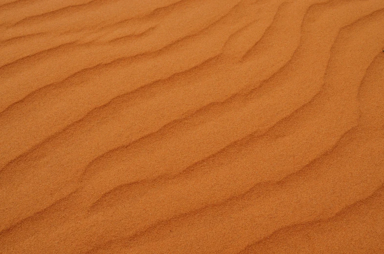 a close up of a sand dune in the desert, orange hue, detailed product image, matt finish, clear detailed view