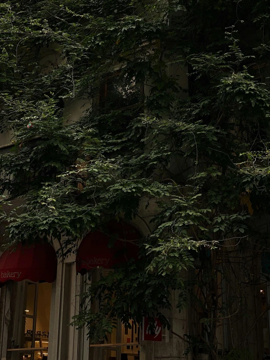 a clock that is on the side of a building, covered in vines, in the evening, ((trees)), in style of joel meyerowitz