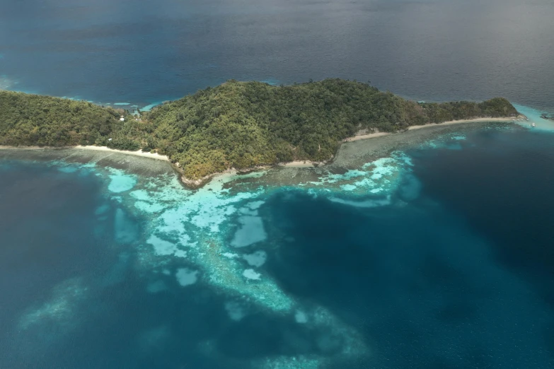 a small island in the middle of the ocean, inspired by Kōno Michisei, pexels contest winner, sumatraism, eagle coral, dezeen, 2000s photo, touring