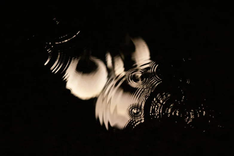 a black and white photo of a woman's face, an album cover, inspired by Anna Füssli, generative art, water ripples, droplets flow down the bottle, translucent orbs, liquid polished metal