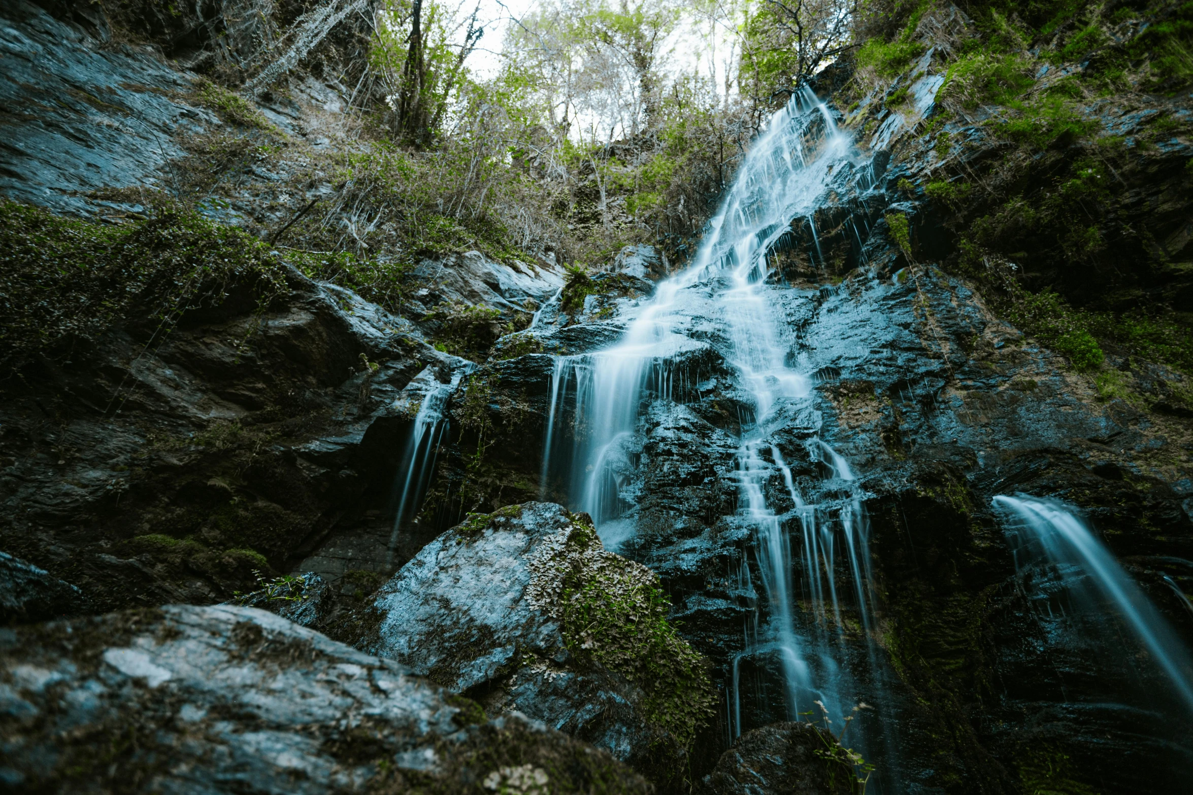 a waterfall in the middle of a forest, unsplash contest winner, hurufiyya, fan favorite, new mexico, shiny and sparkling, high quality product image”