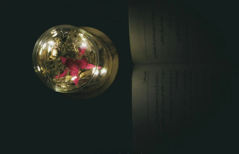 an open book sitting on top of a table, an album cover, by Maryam Hashemi, pexels contest winner, magical realism, glowing jar, shot from above, lights with bloom, inside glass orb