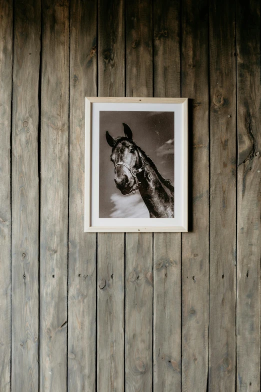 a picture of a giraffe hanging on a wooden wall, poster art, by Daarken, unsplash, fine art, horse laying down, inside a barn, framed, portrait photo of a backdrop