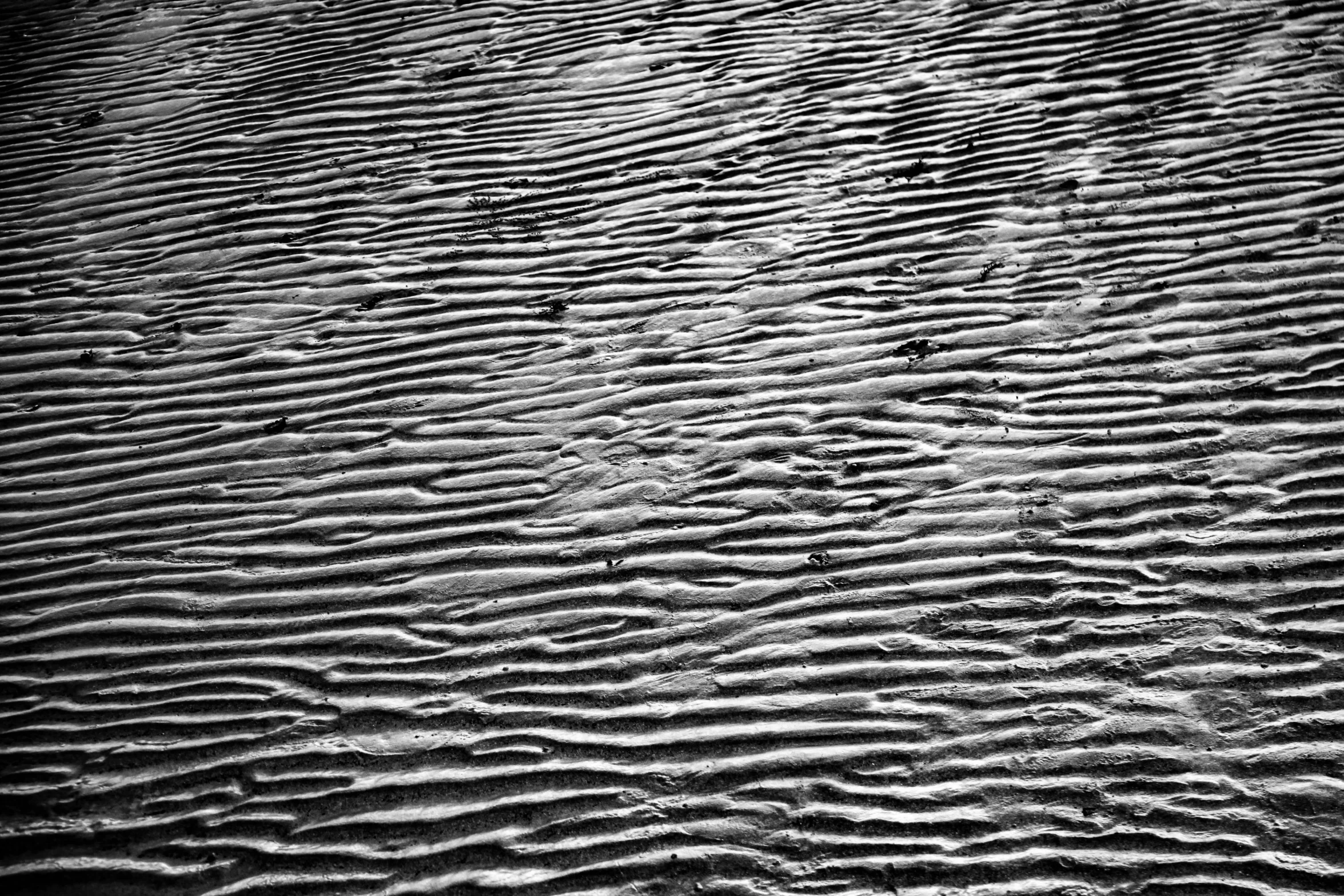 a black and white photo of a beach, inspired by Edward Weston, op art, textured like a carpet, 'action lines '!!!, wrinkled skin, vibrant patterns