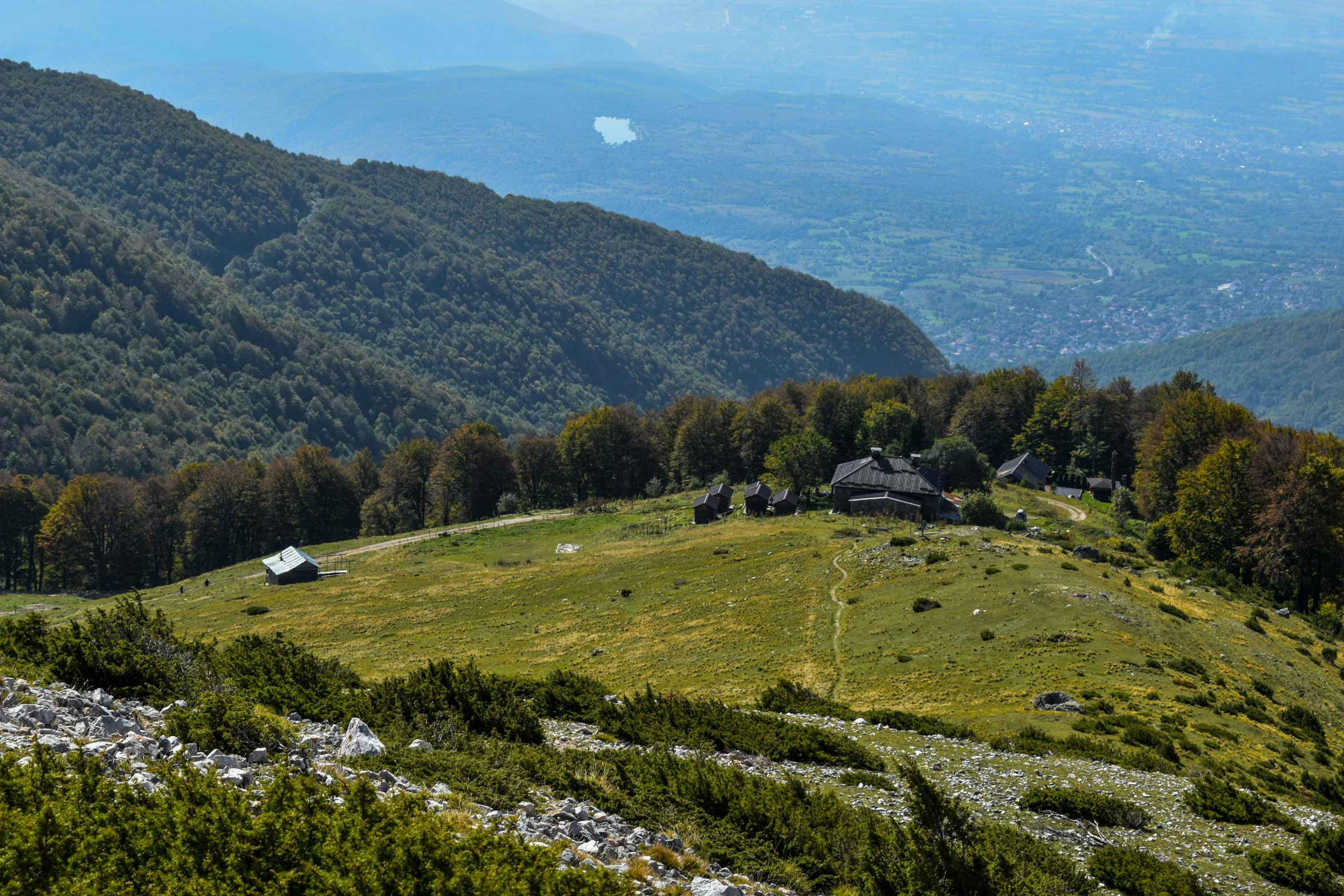 a herd of sheep grazing on top of a lush green hillside, by Emma Andijewska, pexels contest winner, les nabis, alpine landscape with a cottage, mount olympus, panorama distant view, an abandoned