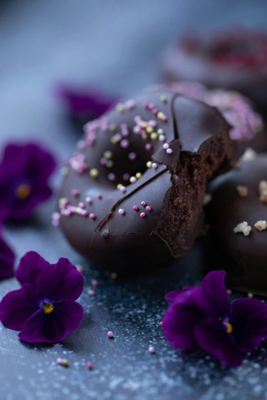 chocolate donuts with sprinkles and purple flowers, a portrait, by Valentine Hugo, unsplash, romanticism, deep black, made of glazed, thumbnail, recipe