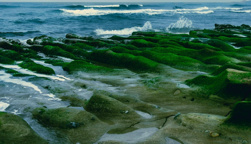 a person riding a surfboard on top of a rocky beach, green moss all over, ektachrome color photograph, ultra-realism, rivulets