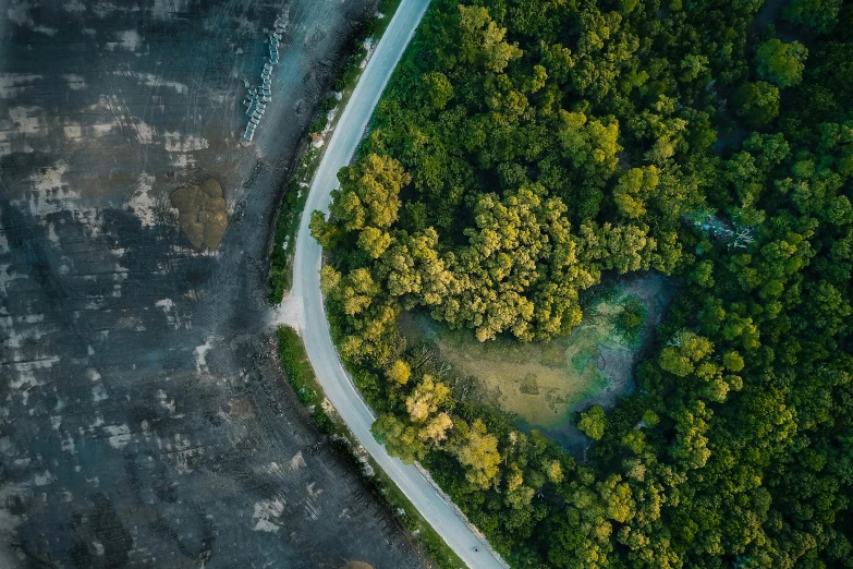 an aerial view of a road surrounded by trees, by Adam Marczyński, pexels contest winner, mangrove swamp, flattened, hd footage, planet overgrown