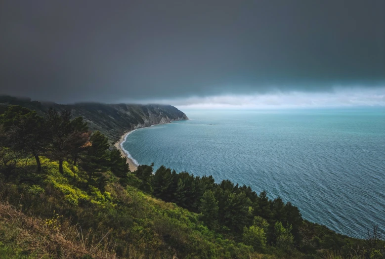 a view of the ocean from the top of a hill, by Matt Cavotta, unsplash contest winner, rainy storm, bay area, trees and cliffs, 2000s photo