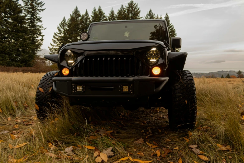 a black jeep is parked in a field, a portrait, by Jason Felix, unsplash, custom headlights, front side views full, stealth