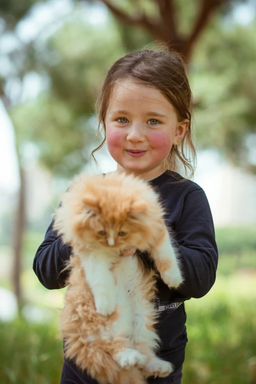 a little girl holding a fluffy orange cat, a portrait, shutterstock contest winner, australian, beautiful surroundings, a handsome, miniature kitten