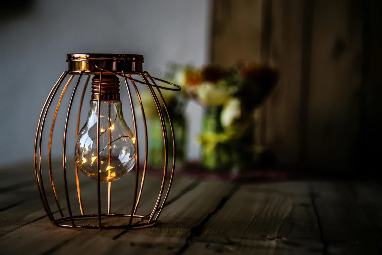 a light bulb sitting on top of a wooden table, copper wire, holding a lantern, led, light frame