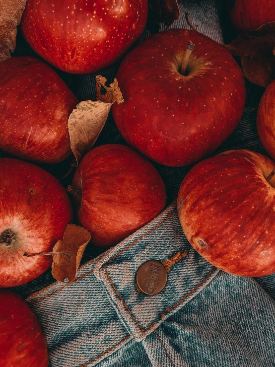 a pile of apples sitting on top of a pair of jeans, inspired by Elsa Bleda, pexels contest winner, renaissance, 8 k very red colors, 🎀 🧟 🍓 🧚, fall foliage, iphone wallpaper