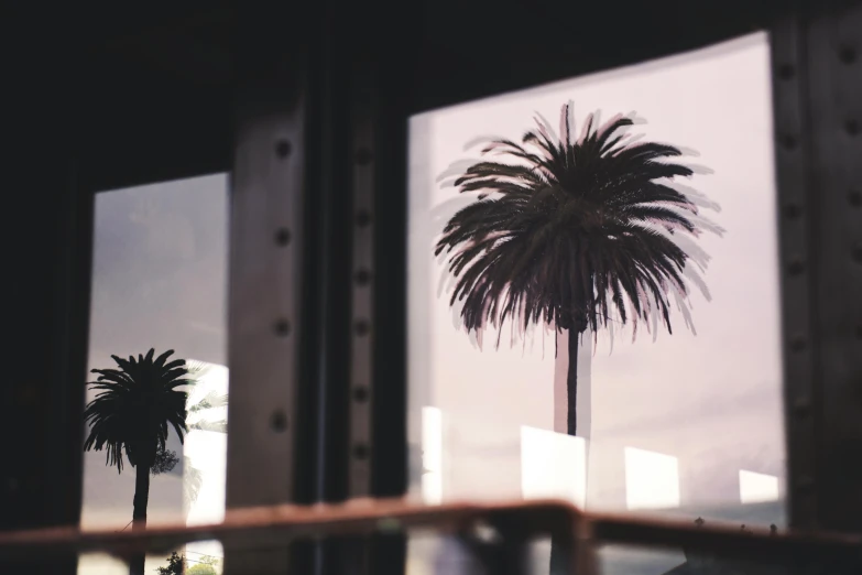 a view of a palm tree through a window, unsplash, photorealism, sitting in a cafe, multiple stories, early evening, cabbage trees