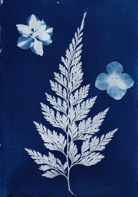 a blue and white plate with leaves and flowers, a silk screen, inspired by Samuel Prout, ferns, thumbnail, indigo background, ((blue))