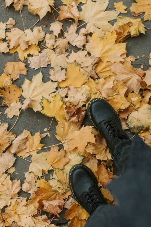 a person standing on top of a pile of leaves, trending on pexels, doc marten boots, yellow and black color scheme, multiple stories, brown ) )