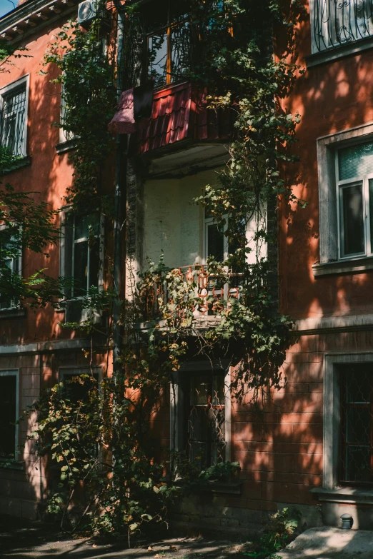 a building with vines growing on the side of it, a picture, inspired by Elsa Bleda, unsplash contest winner, art nouveau, soft autumn sunlight, soviet apartment buildings, summer afternoon, neighborhood